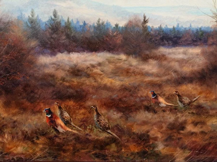 Bażanty na wrzosowisku - malarstwo animalistyczne - Paul Wilhelm Dahms