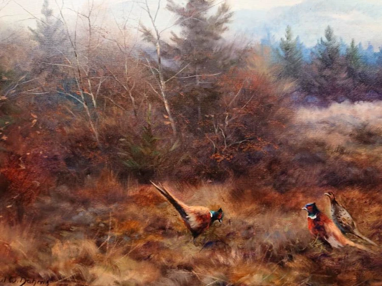 Bażanty na wrzosowisku - malarstwo animalistyczne - Paul Wilhelm Dahms