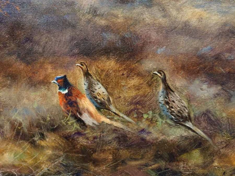 Bażanty na wrzosowisku - malarstwo animalistyczne - Paul Wilhelm Dahms