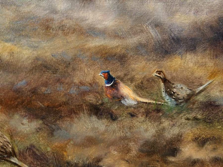 Bażanty na wrzosowisku - malarstwo animalistyczne - Paul Wilhelm Dahms