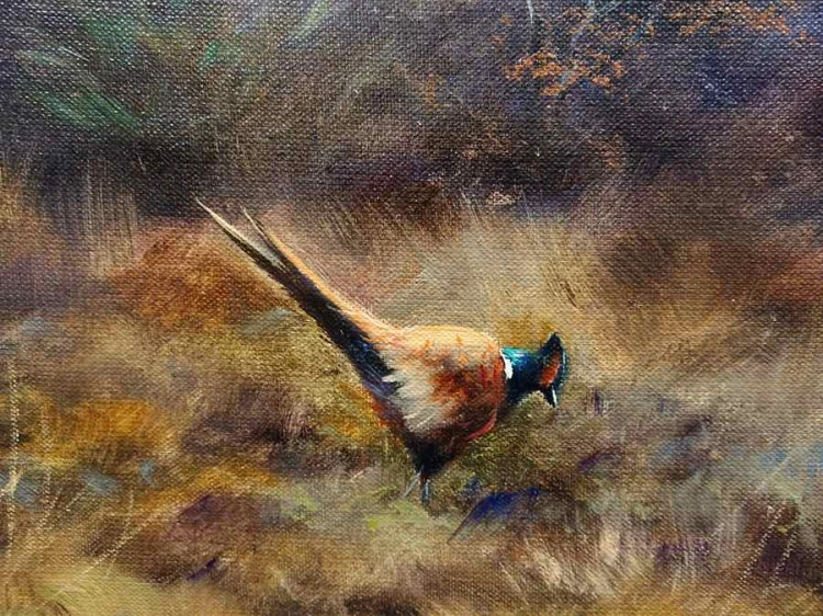 Bażanty na wrzosowisku - malarstwo animalistyczne - Paul Wilhelm Dahms