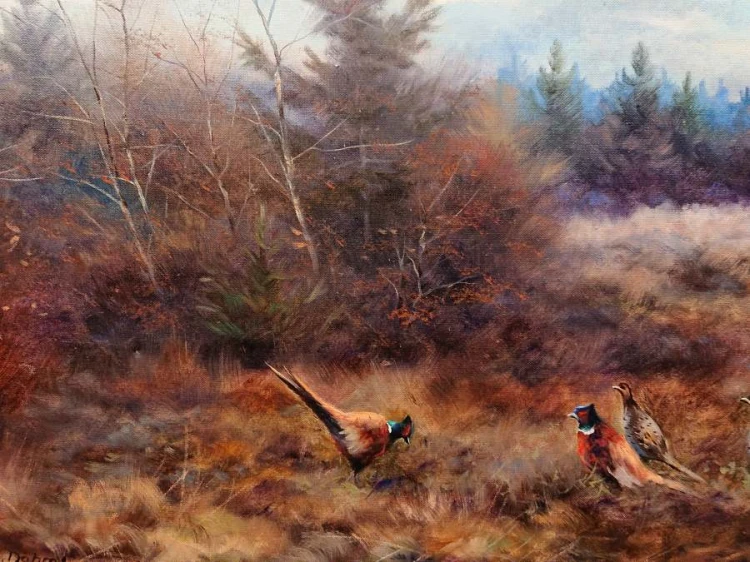 Bażanty na wrzosowisku - malarstwo animalistyczne - Paul Wilhelm Dahms