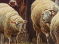 Zbliżenie na owce w leśnym zagajniku, mistrzowskie detale wełny i anatomii zwierząt na obrazie Henriego De Beula.