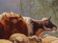 Zbliżenie na dwie krowy w leśnym zagajniku, mistrzowskie detale wełny i anatomii zwierząt na obrazie Henriego De Beula.