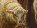 Zbliżenie na owczą głowę w leśnym zagajniku, mistrzowskie detale wełny i anatomii zwierząt na obrazie Henriego De Beula.