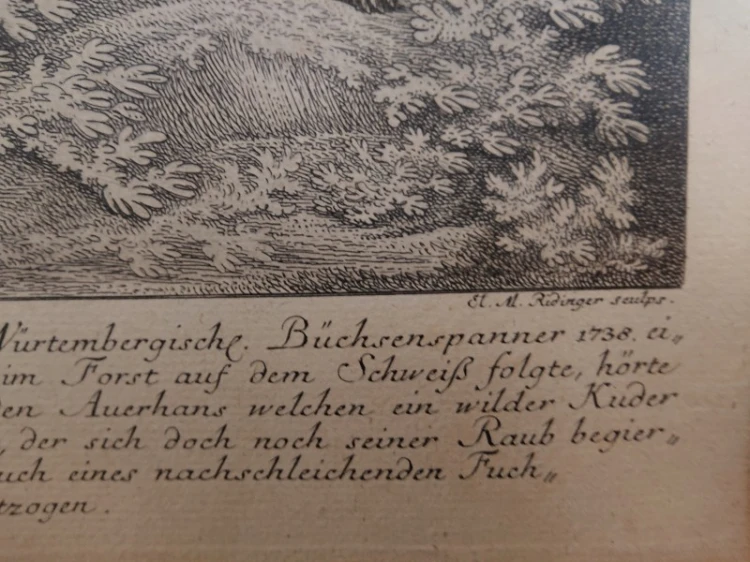 Detal dolnego prawego marginesu miedziorytu przedstawiający sygnaturę El. M. Ridinger sculps. oraz początek niemieckiego tekstu gotyckiego.