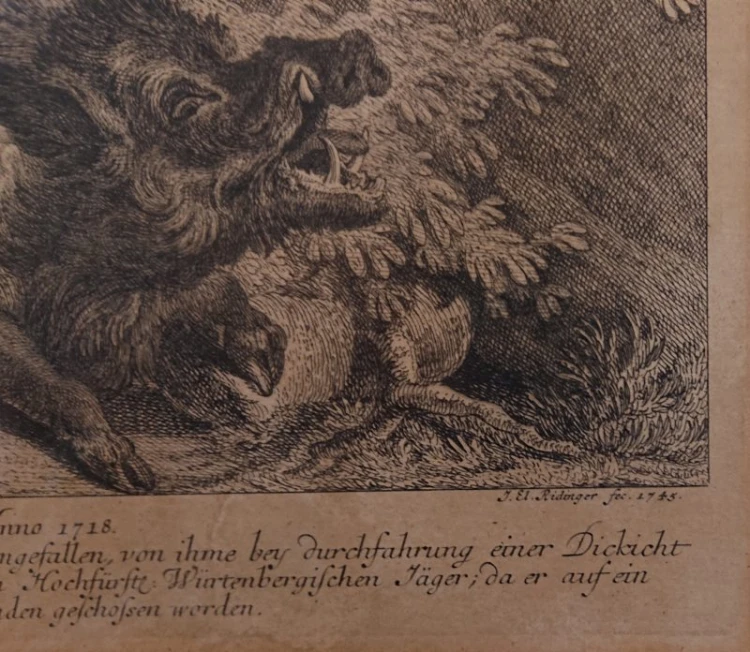 Maksymalne zbliżenie na prawy dolny róg ryciny z oryginalną sygnaturą autorską J. El. Ridinger fec. 1745 wyrytą na oryginalnej matrycy.