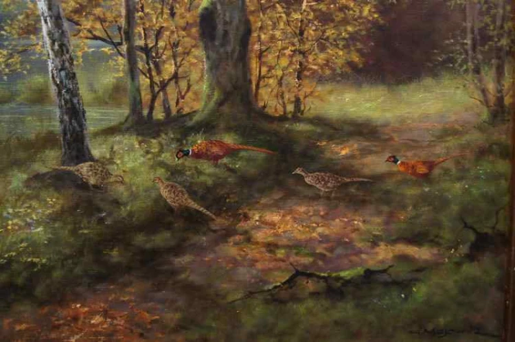 GEORG MAJEWICZ BAŻANTY ORYGINAŁ !!!