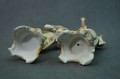 Para wytwornych dzieci porcelanowe figurki