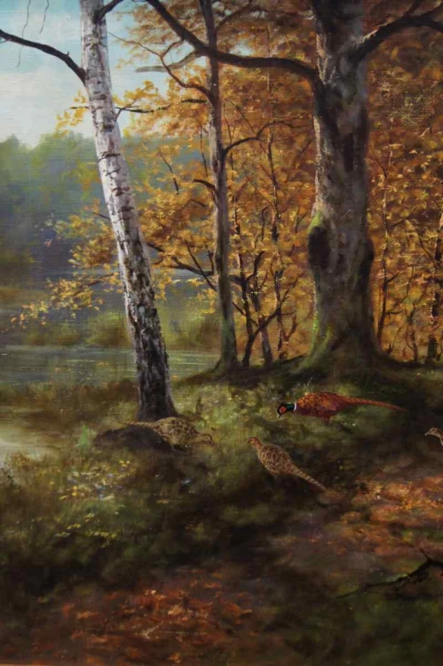 GEORG MAJEWICZ BAŻANTY ORYGINAŁ !!!