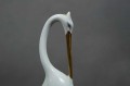DSC01113.JPG