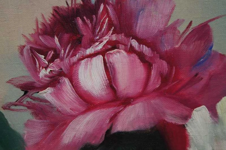 Helmuth Andreas Volkwein Peonie Cudny Rarytas !