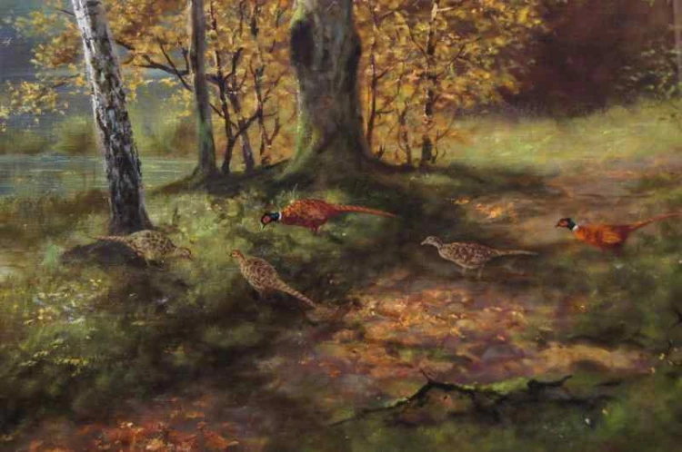 GEORG MAJEWICZ BAŻANTY ORYGINAŁ !!!