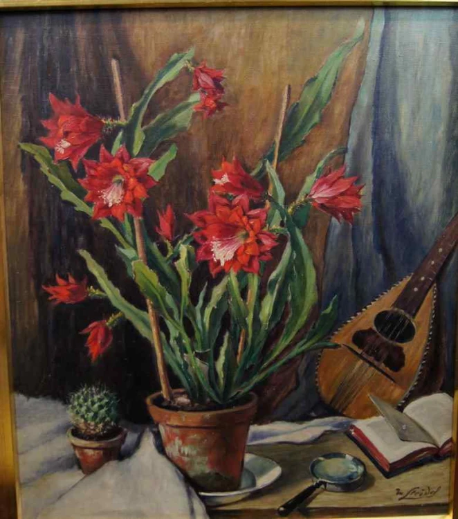 POLECAM!!! OKAZ!!! B. FEUDEL KAKTUSY