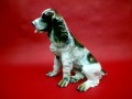 Porcelana JRJS CLUJ olbrzymia figura Cocker Spaniel