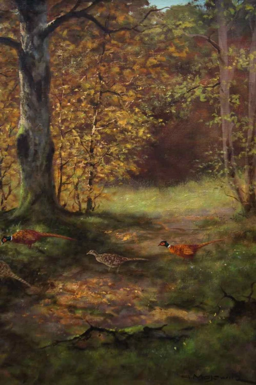 GEORG MAJEWICZ BAŻANTY ORYGINAŁ !!!