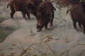 Wataha dzików piękny stary obraz W. v. Kamp
