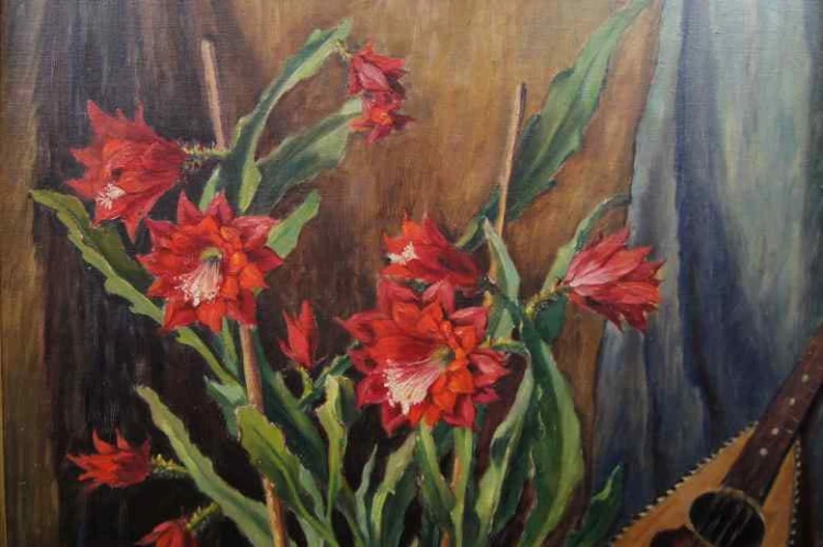 POLECAM!!! OKAZ!!! B. FEUDEL KAKTUSY