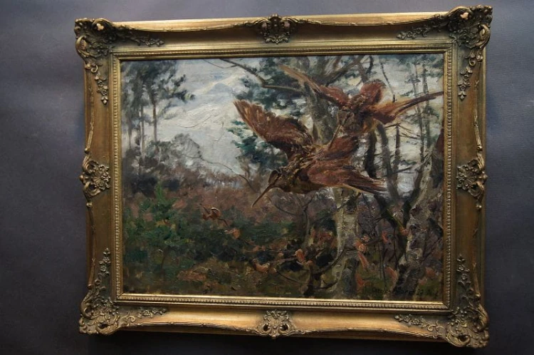 Stary obraz Carl Weisgerber - Studium ptaków Słonki