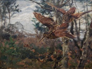 Stary obraz Carl Weisgerber - Studium ptaków Słonki