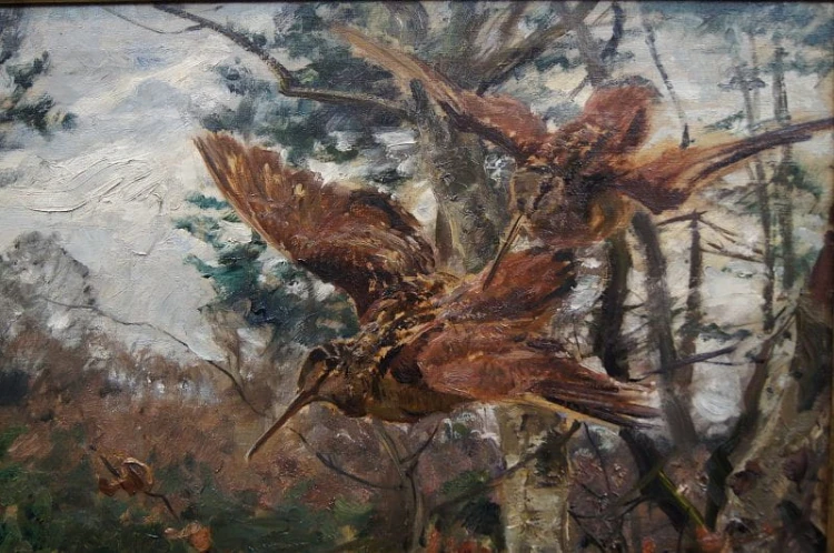 Stary obraz Carl Weisgerber - Studium ptaków Słonki