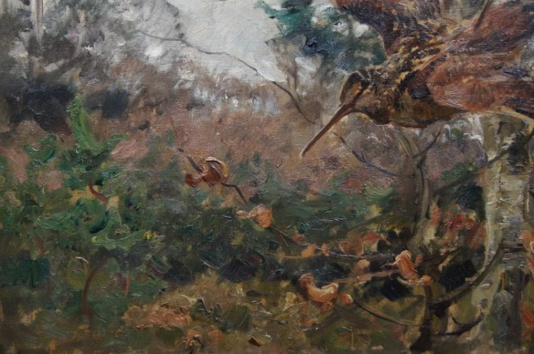Stary obraz Carl Weisgerber - Studium ptaków Słonki