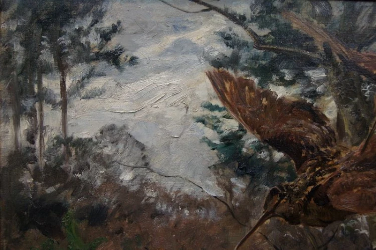 Stary obraz Carl Weisgerber - Studium ptaków Słonki