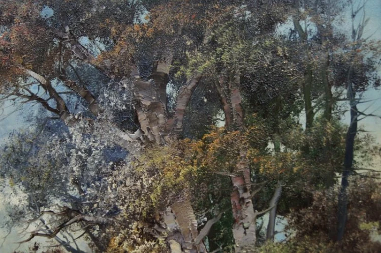 Obraz olejny Jean - Edeler Krajobraz z nad jeziora
