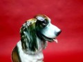 Porcelana JRJS CLUJ olbrzymia figura Cocker Spaniel