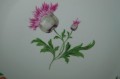 Meissen olbrzymia patera na ciasto porcelana Miśnia