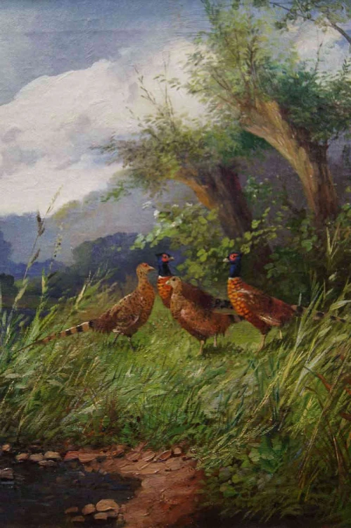 Pejzaż z bażantami animalistyczny obraz - Eugen Frank - Colon