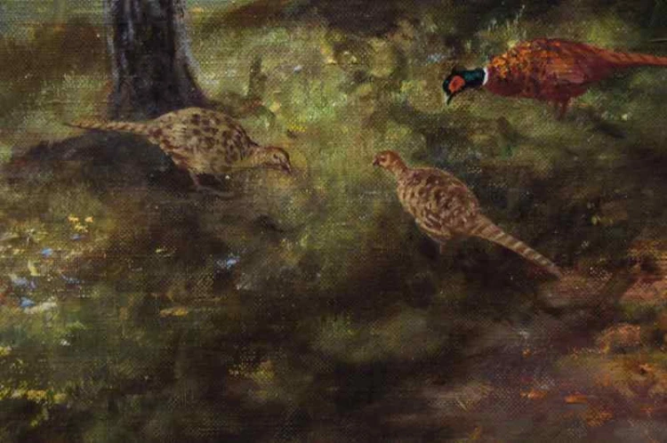 GEORG MAJEWICZ BAŻANTY ORYGINAŁ !!!
